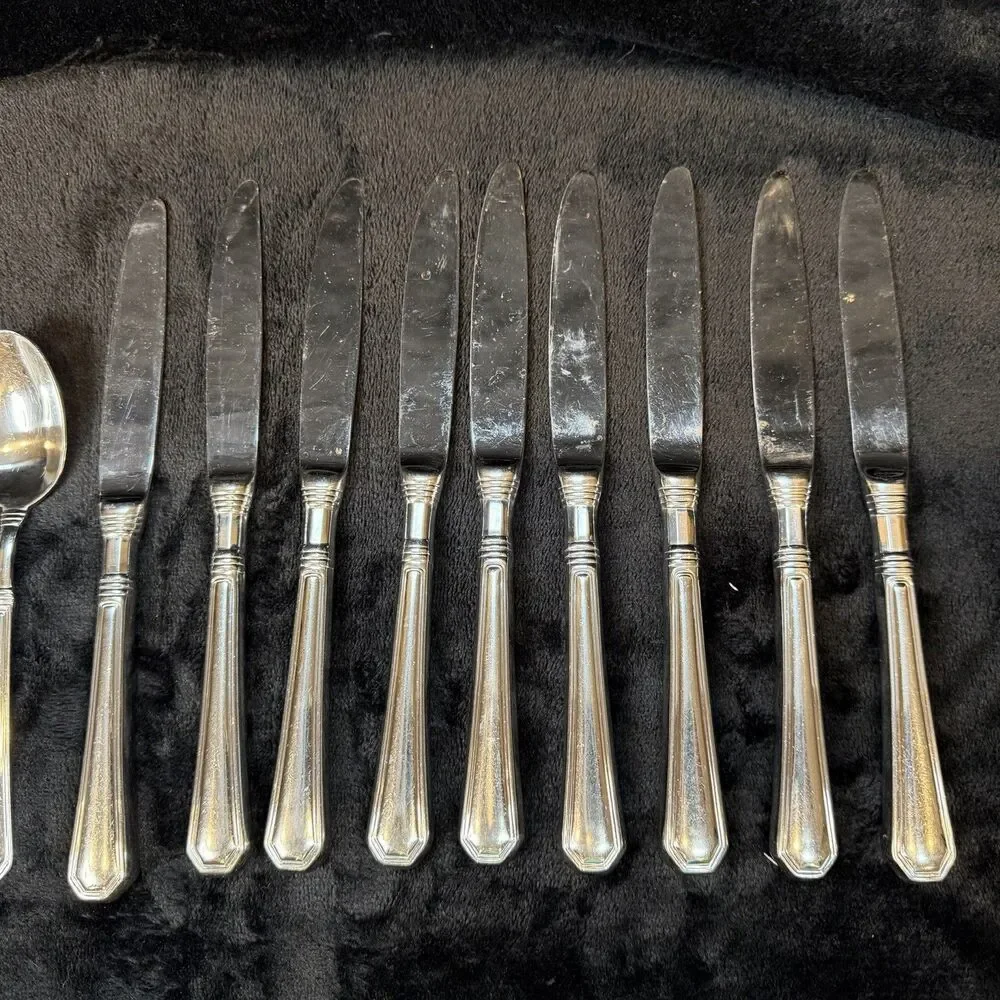 Pfaltzgraff Providence Stainless Flatware 14 Pieces 9 Knives 4 Forks 1 Spoon